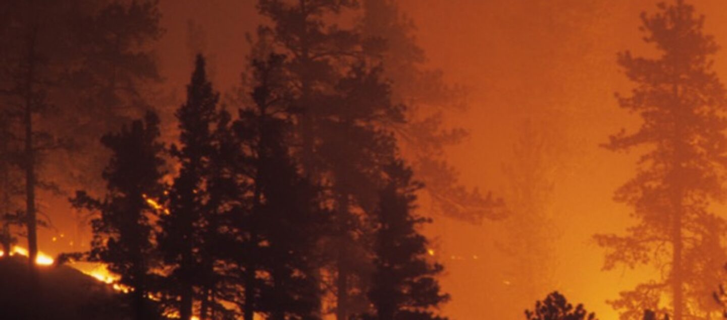 Wildfire.